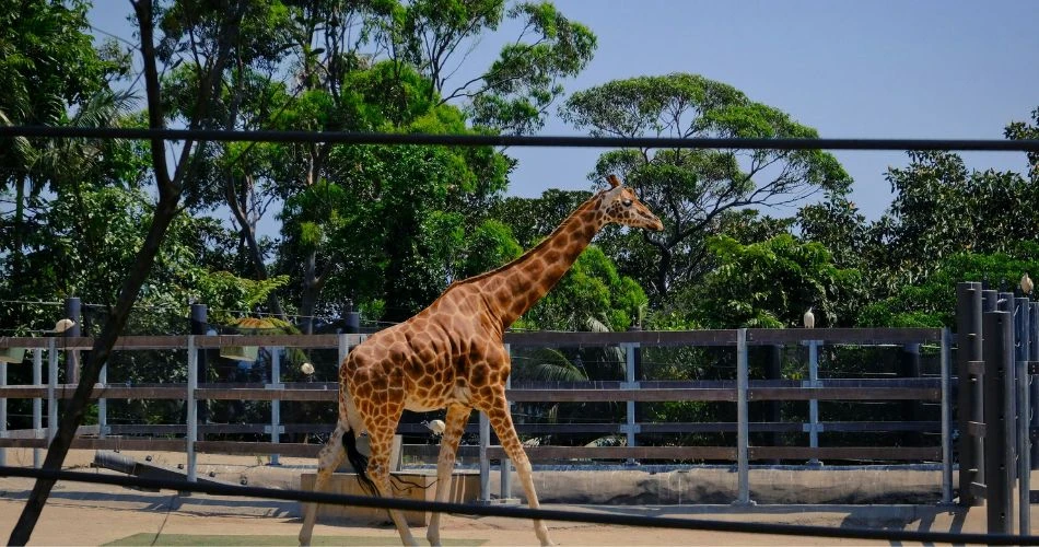 10 Must-Visit Places in Sydney: A Comprehensive Guide