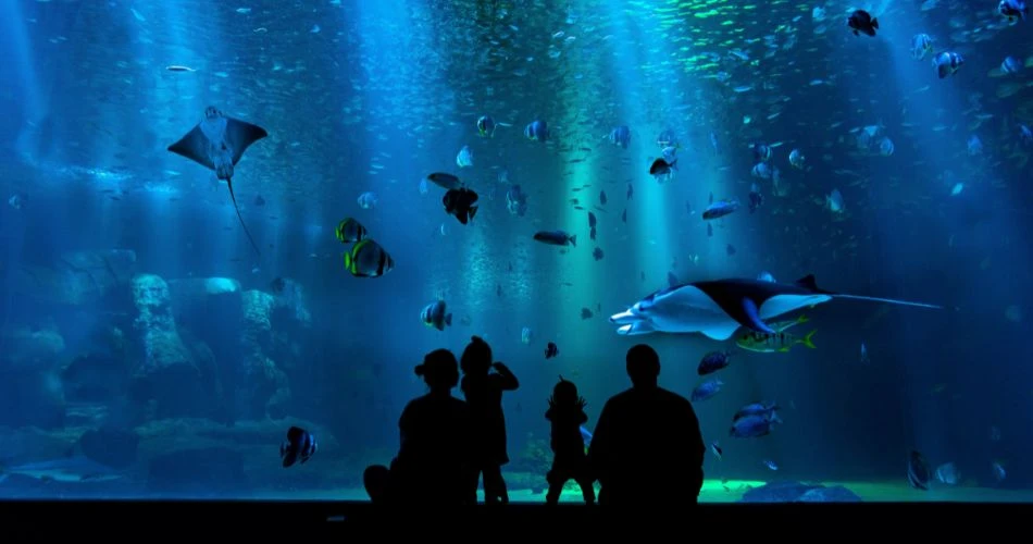 10 Must-Visit Places in Sydney: A Comprehensive Guide