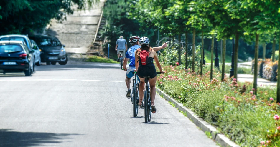 Sydney Harbor Bridge – A Comprehensive Guide