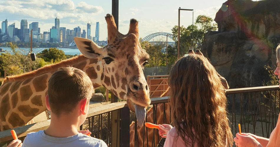 10 Best Attractions in Sydney